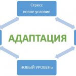 Адаптация. Что это в психологии, примеры, виды и формы