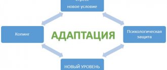 Адаптация. Что это в психологии, примеры, виды и формы