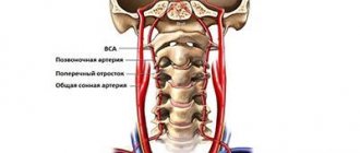 Duplex scanning of the carotid and vertebral arteries