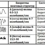 EEG of the brain shows what it shows in an adult