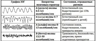 EEG of the brain shows what it shows in an adult