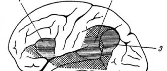 Localization of speech centers