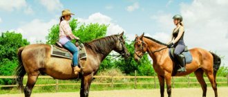 Riders on horses