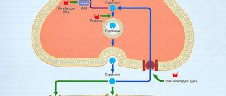 Serotonin reuptake