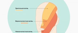 The main directions of innervation of the trigeminal nerve in pictures