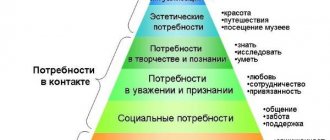 The concept of personality orientation and motivation of activity