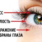 causes and symptoms of eyelid twitching