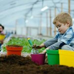 Child planting a plant in the garden