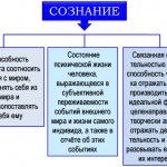 Сознание в психологии. Что это такое, функции, свойства, измененные состояния, проявления