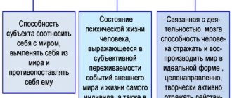 Сознание в психологии. Что это такое, функции, свойства, измененные состояния, проявления